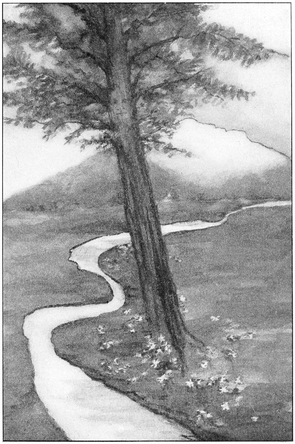 “‘Look at me, I am completely covered with scars.’”