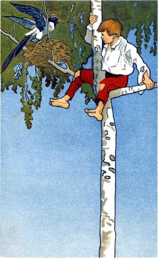 A fa legfelső ágán öreg szarka ült…