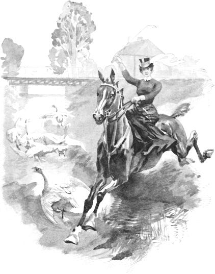 A ludak gágogva rebbentek szét – a töltésről hirtelen felbukkanó