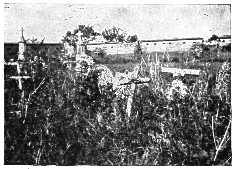 Crosses for grave sites in some tall grass with a building behind.