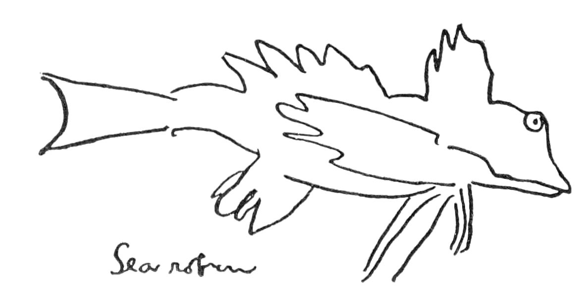 Another rough sketch of a fish, labled 'Sea Rover'