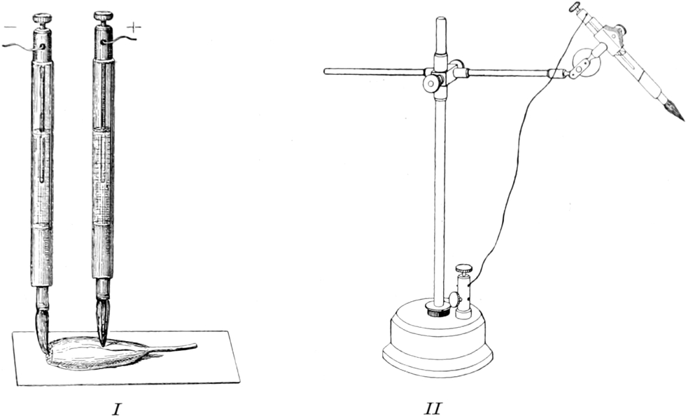 Beispiele für unpolarisierbare   Elektroden