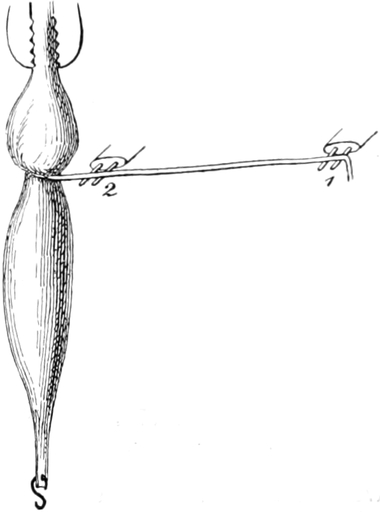 Nervenleitung beim Frosch