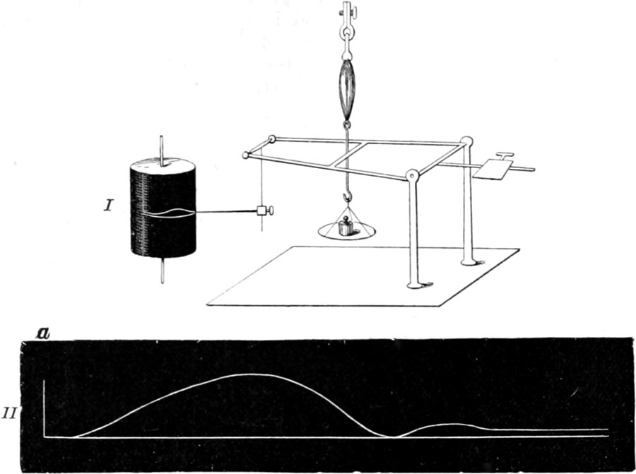 Funktionsweise eines Myographen   nach Helmholtz