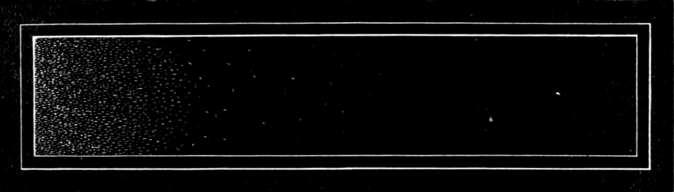 Wirkung der Wärme auf   Pantoffeltierchen