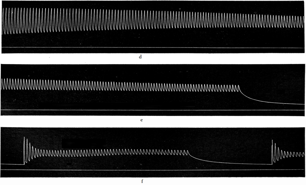Arbeitslähmung eines   Froschmuskels, d-f