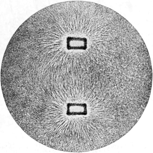 Magnetische Feldlinien zwischen   ungleichnamigen Polen