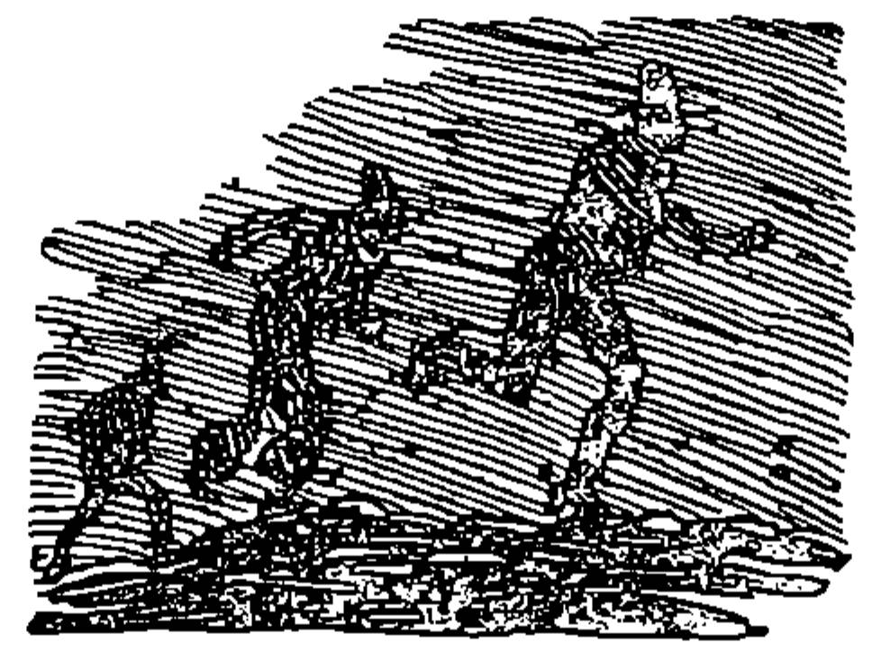 cowboys sneaking in the night