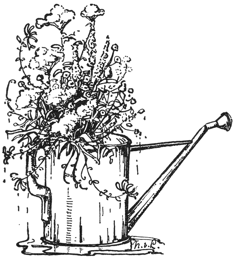 Ineke’s bloemen heb ik apart in den gieter gezet.