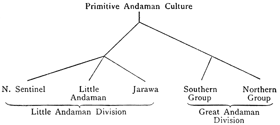 Primitive Andaman Culture