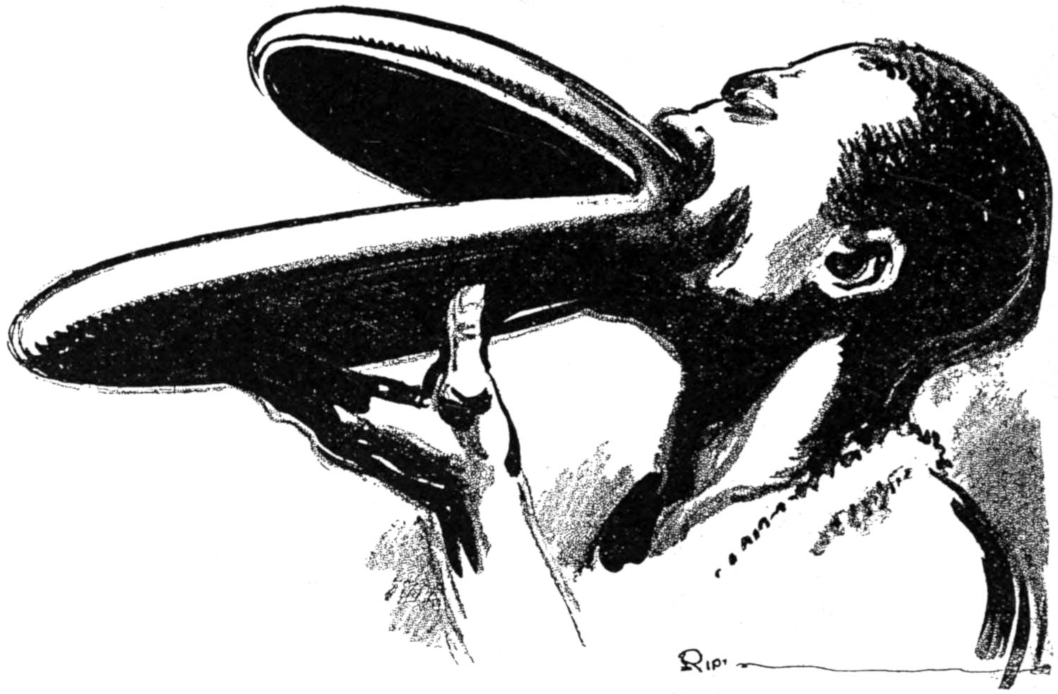 Central-African lady with extended lips