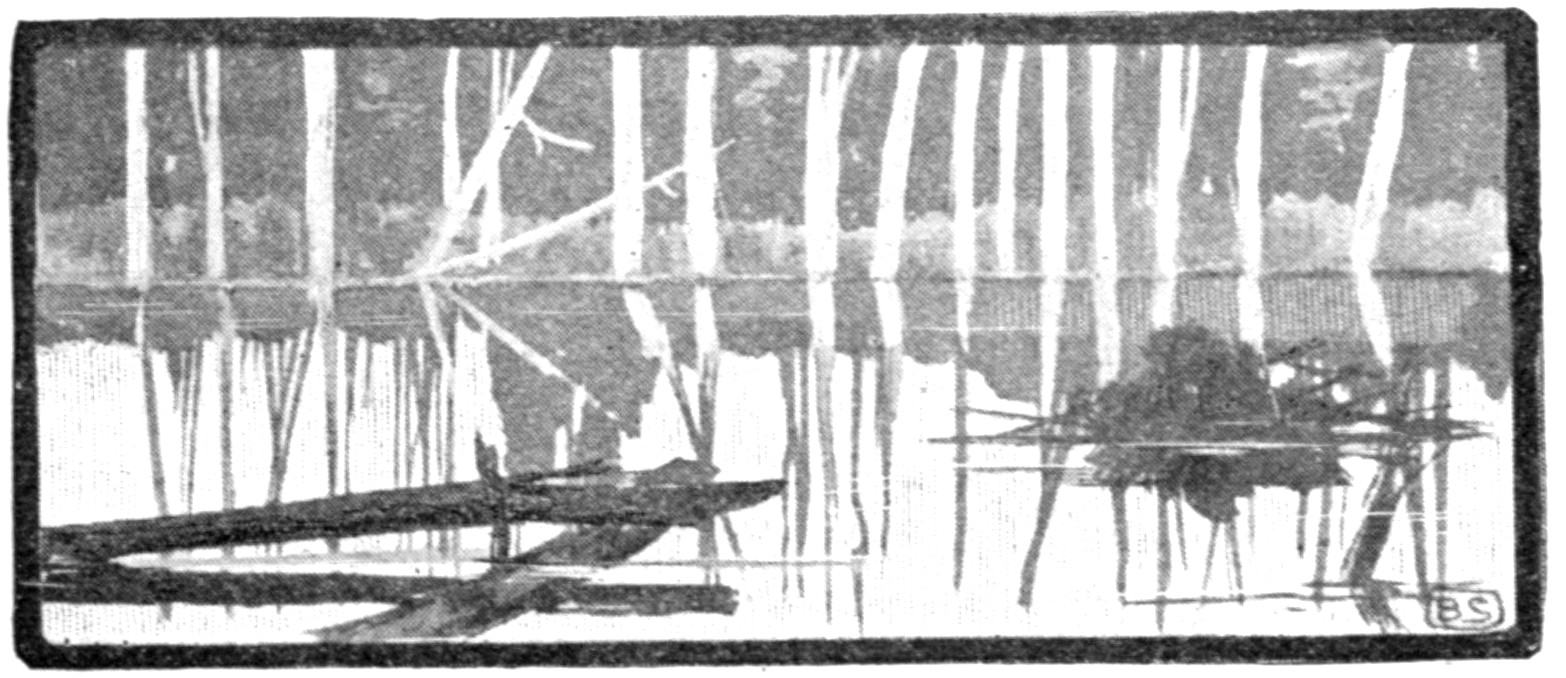 This is a black and white half-tone sketch of a section of pond or lake. A log extends out of water from the left side and a beaver hut is in the water on the right side. In the distance is a shoreline with trees. The log, the hut, and the trees are all reflected in the still water.