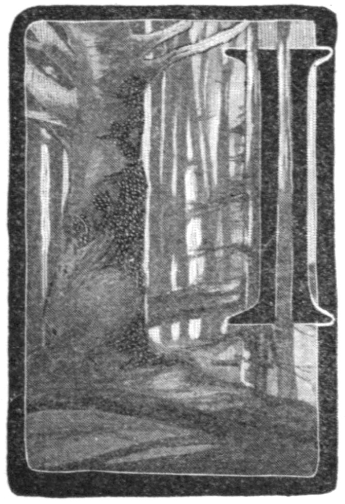 Halftone black and white sketch of a tree trunk on the left, indistinct trees in the center, and the letter I on the right. This sketch is used as an illustrated capital letter to the beginning of the poem.