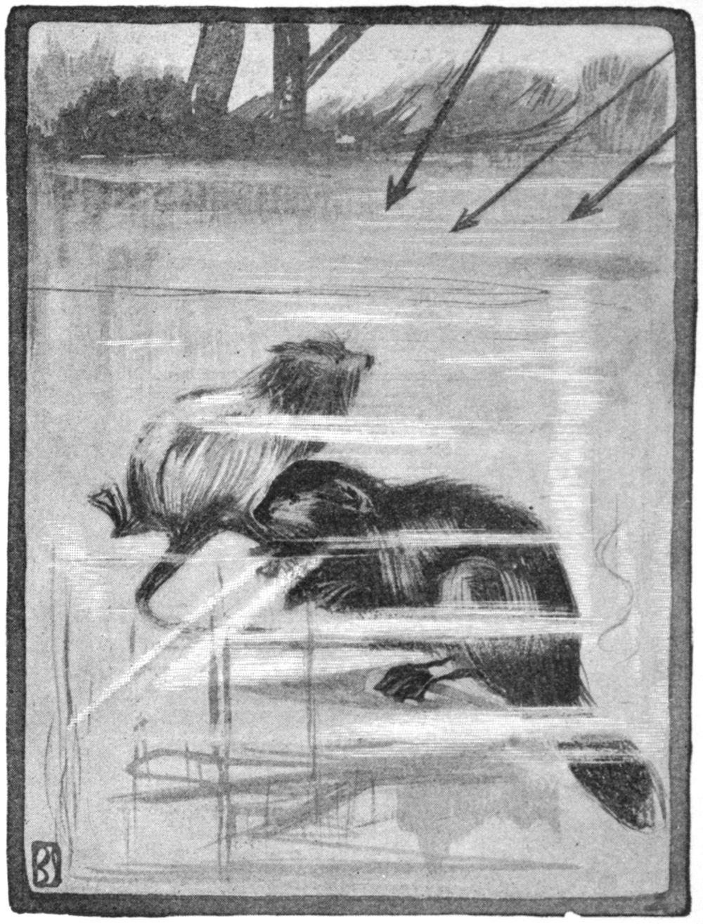 Half-tone black and white sketch of a muskrat and beaver in the water. Three arrows rain down on them from above. An indistinct shoreline is at the top of the sketch.