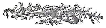 image005