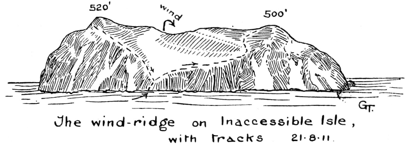 The wind-ridge on Inaccessible Isle, with tracks 21·8·11