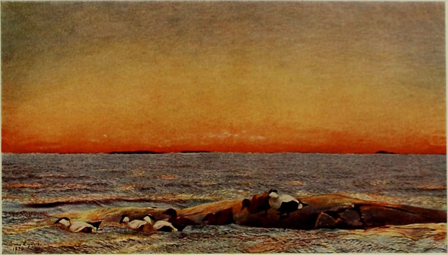 SUNRISE