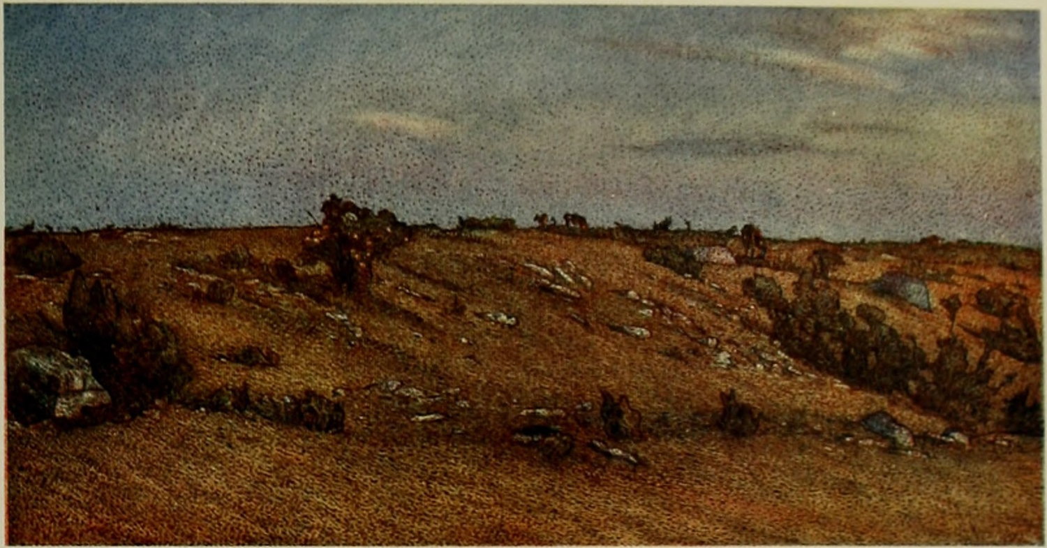 THE ALFVAREN IN ÖLAND