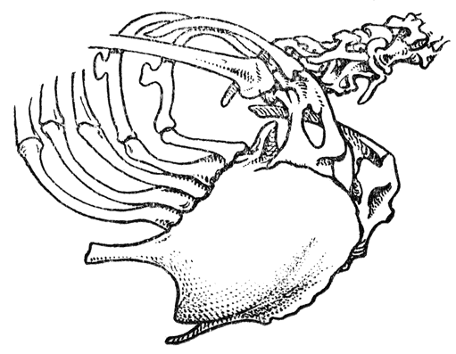 fig. 3b