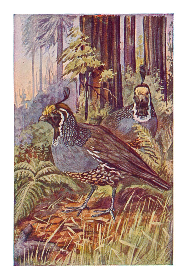 50