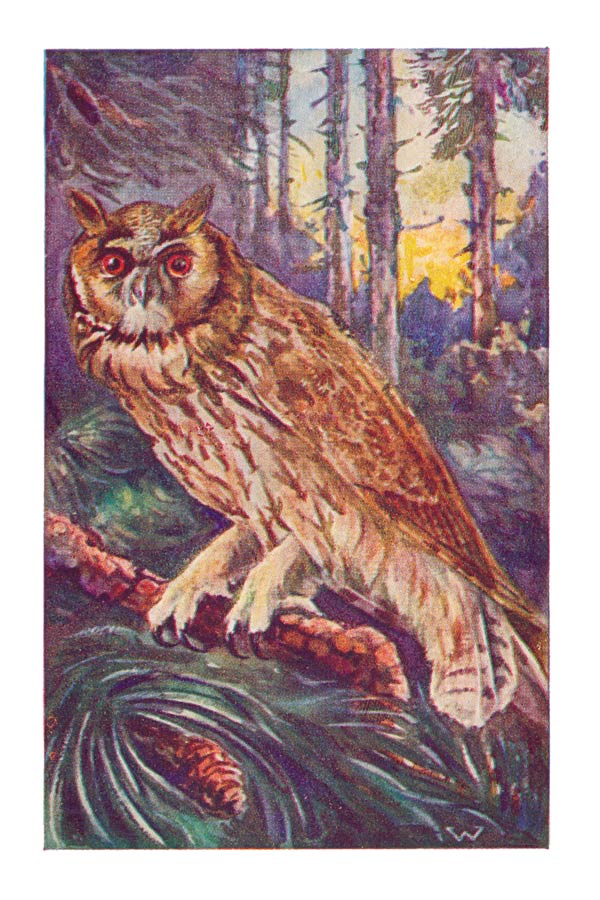 61