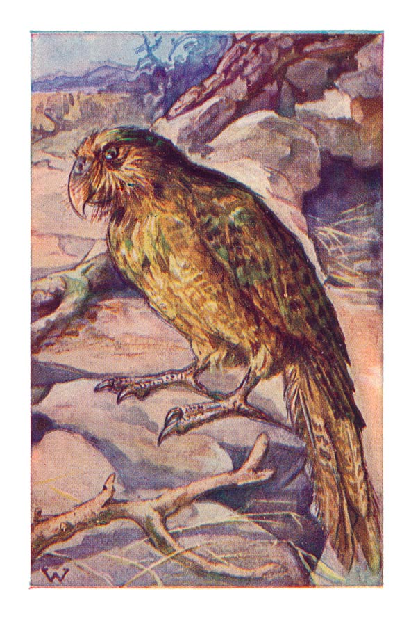 65