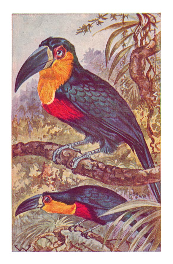 73