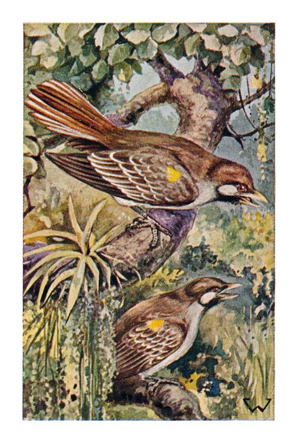 75