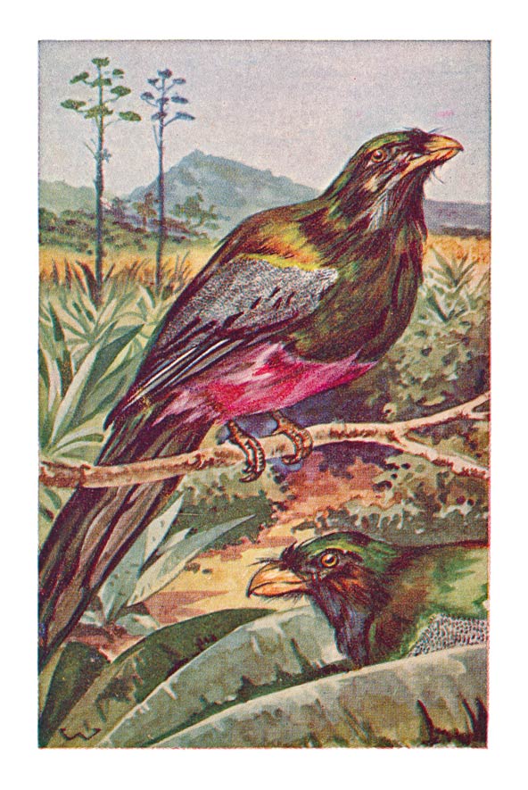 78
