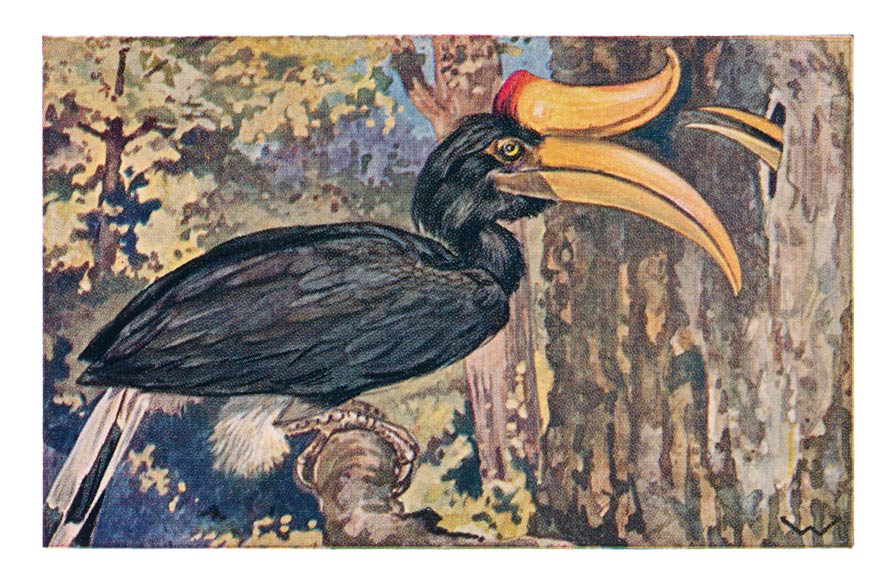 80