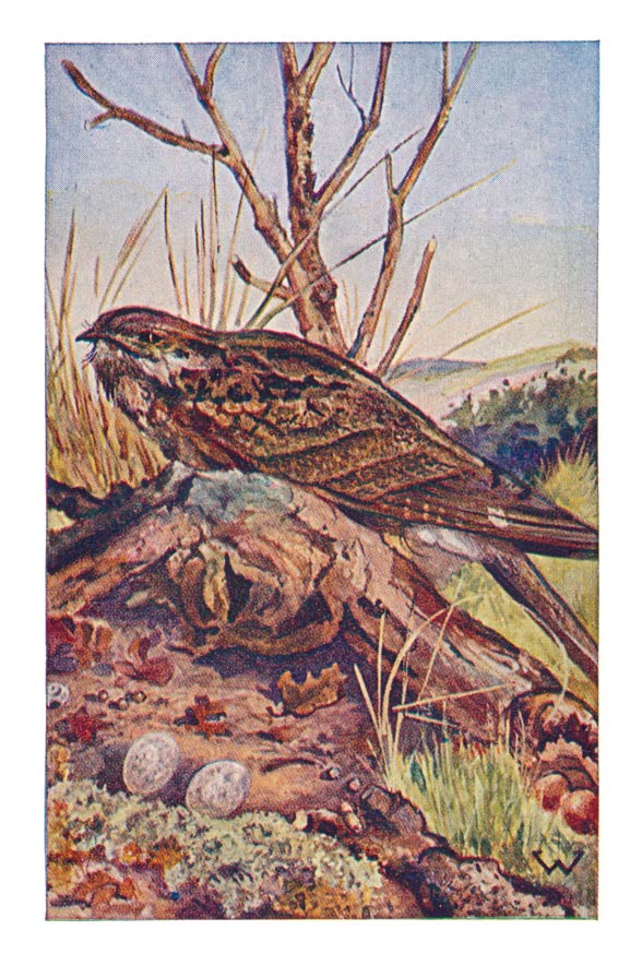 87