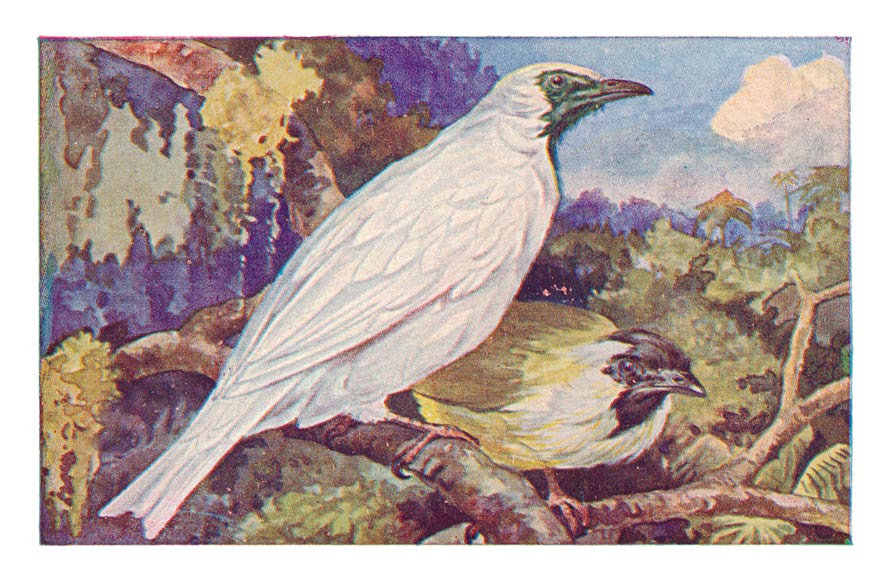 91