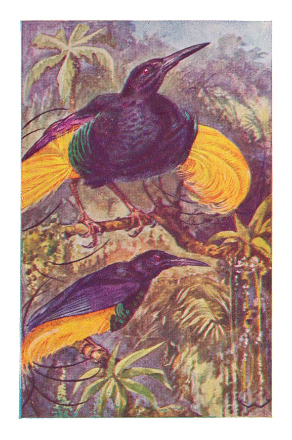 104