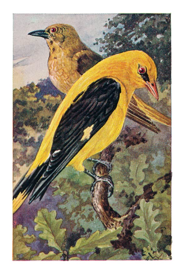 105