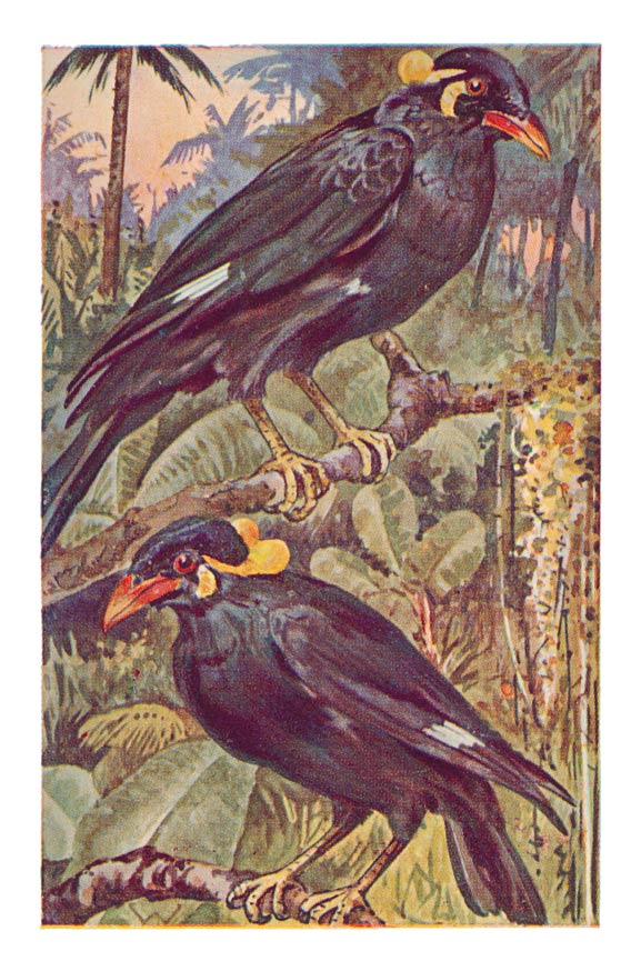 106