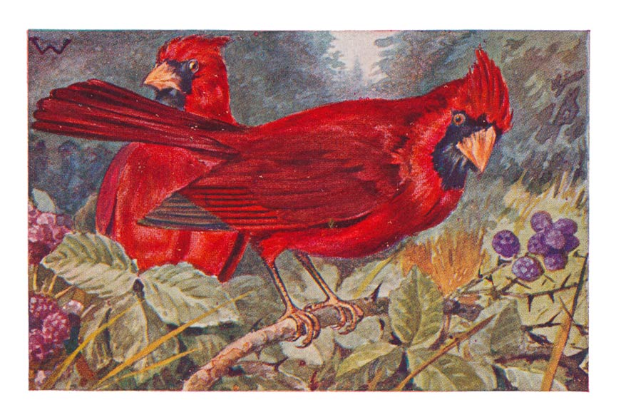 119