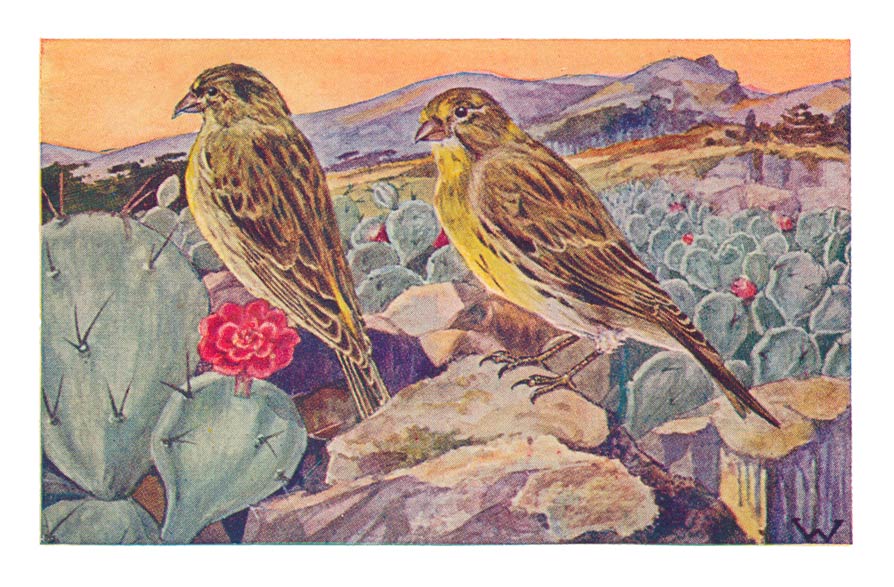 123