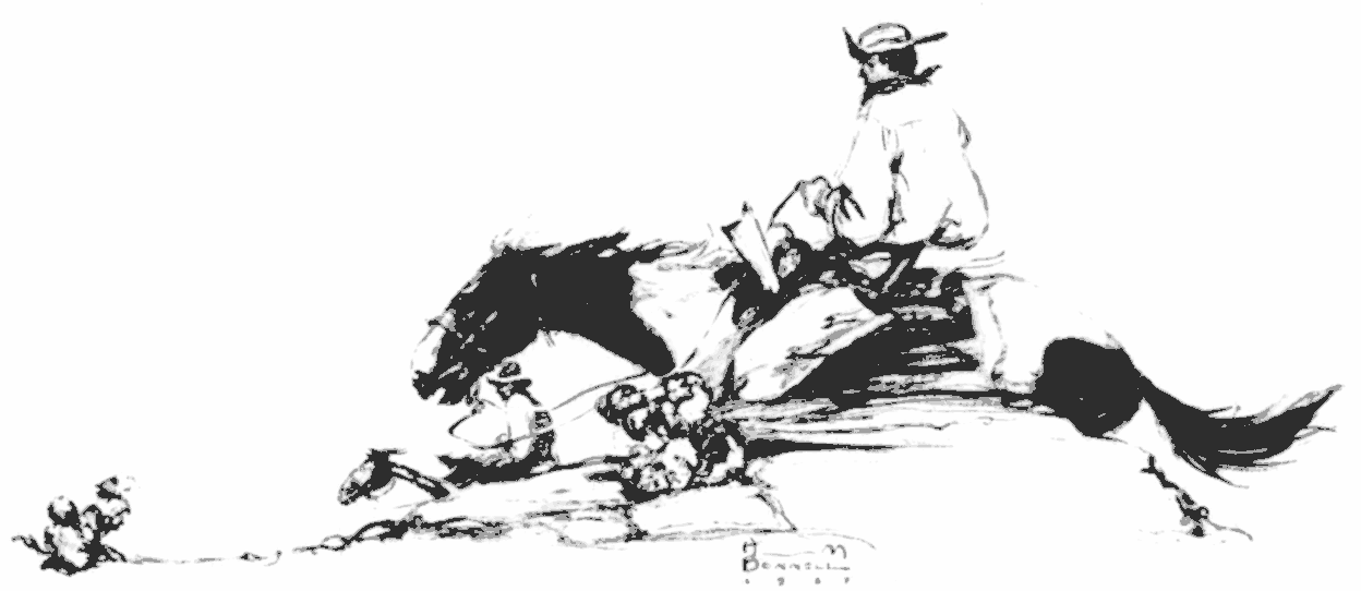 preparing to circle the cañon