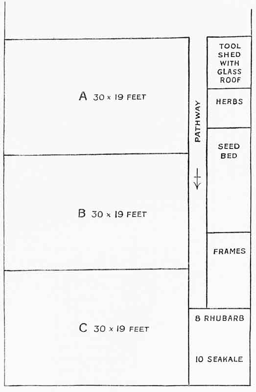 A diagram of a small garden with plots labeled A, B, and C.