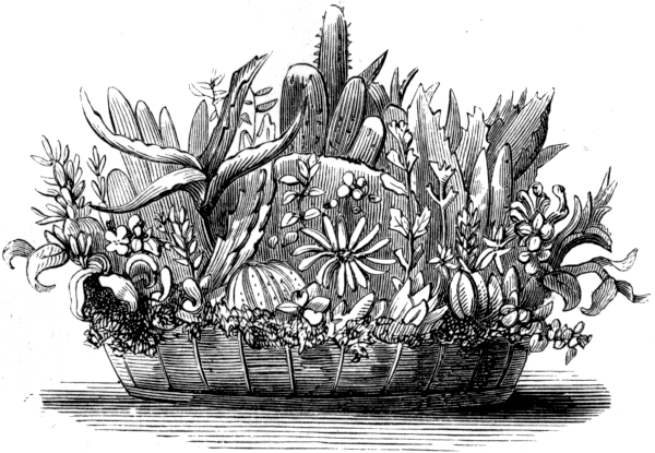 flower-stand