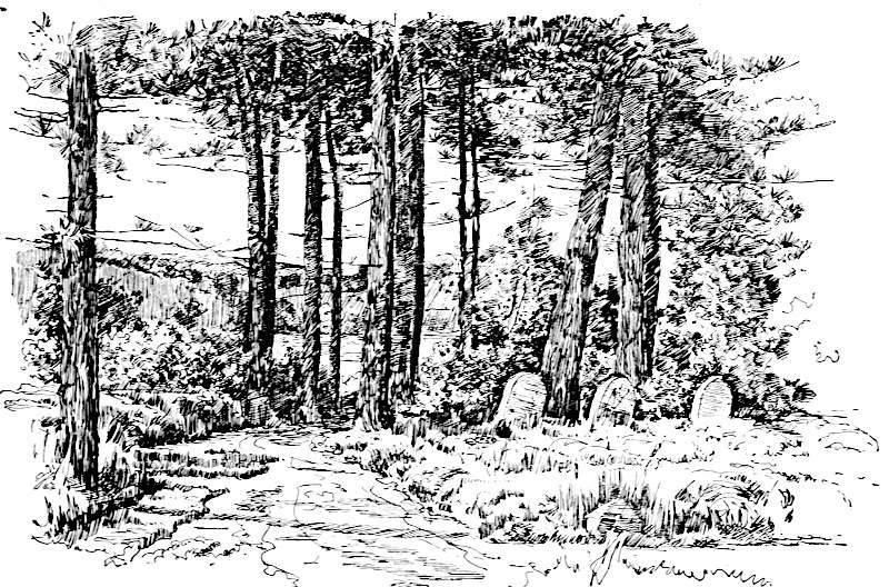 Image of a small cemetery under tall trees. Three tombstones are visible.