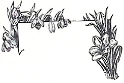 image060