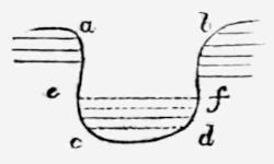 A line drawing of a broad   U-shaped depression. Short parallel horizontal lines extend inward from   both the left and right sides at different heights, with small lowercase   letters a b c d e f marking positions around the outline and interior.