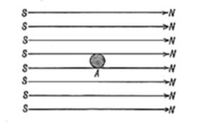 A simple diagram showing parallel horizontal arrows labeled S on the left and N on the right, with a small shaded circle labeled A positioned along the central line.