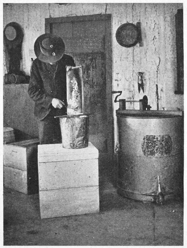A person stands in a storeroom. They are scraping a frame of honey over a bucket.