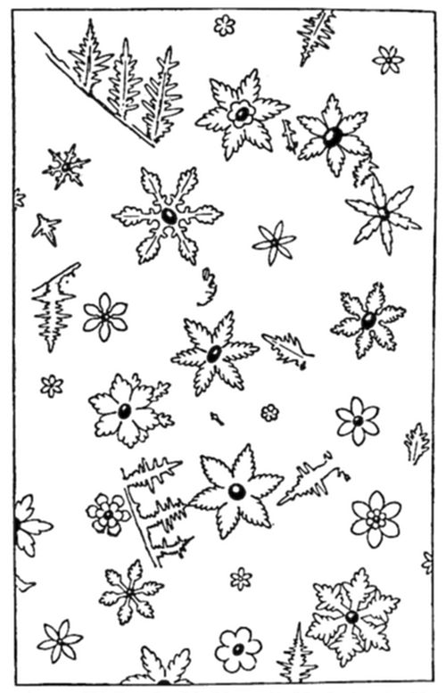 A line-drawing plate showing a variety of ice/frost crystal patterns — branching fern-like forms, six-petaled star and flower shapes, small snowflake rosettes, and jagged zigzag frost patterns, scattered across the page to illustrate the diverse natural forms of frost or ice crystal growth.