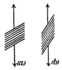 Two diagrams (a) and (b) showing sets of parallel lines between vertical arrows: (a) horizontal lines, (b) lines tilted at an angle.