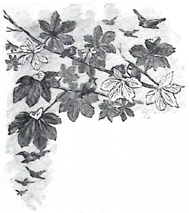 image002