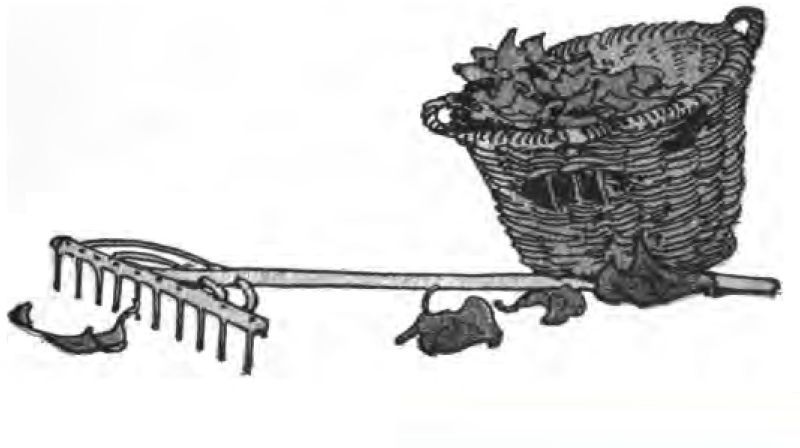 This black-and-white drawing shows a basket and a rake with leaves scattered on the ground. A long-handled metal garden rake rests on the ground in front of the basket, its handle stretching out behind it. The rake’s sharp metal tines point down toward the ground.