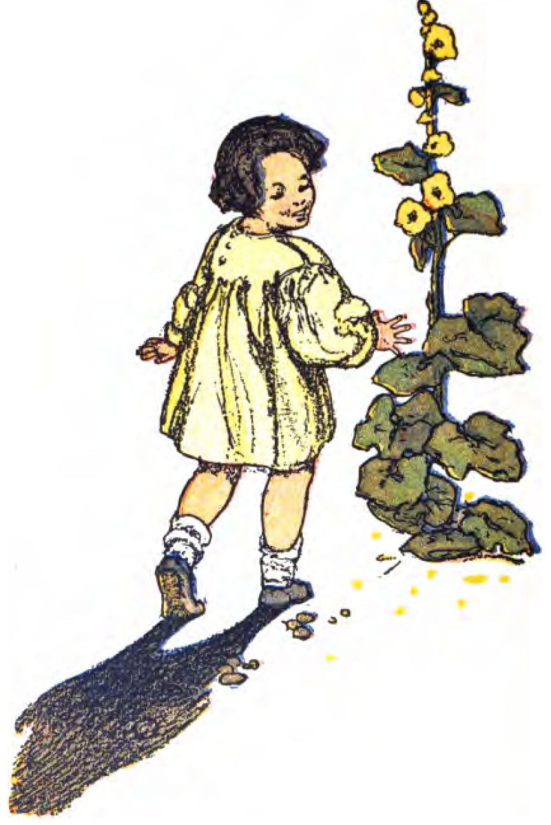 The illustration shows a young child walking toward a tall flower stalk. The child has dark, curly hair and wears a loose pale yellow long-sleeved smock dress with white socks bunched at the ankles and small dark shoes. A shadow falls behind the child. On the right, a tall hollyhock plant grows with large rounded green leaves at its base and a vertical stalk covered in blooming yellow flowers.